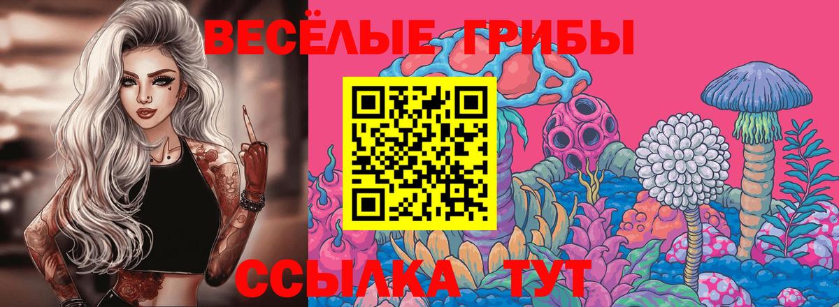Вятские Поляны  Псилоцибиновые грибы MAGIC MUSHROOMS  Псилоцибиновые грибы ЛСД  Вход с VPN 